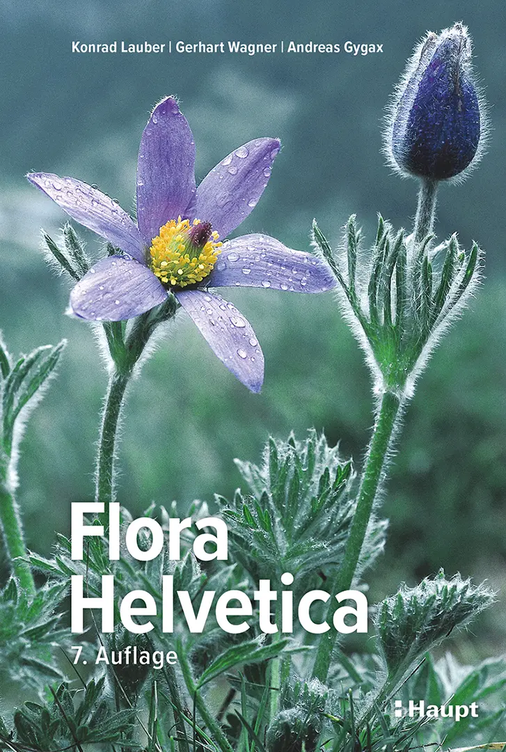 Vorderes Coverbild Flora Helvetica - Illustrierte Flora der Schweiz
