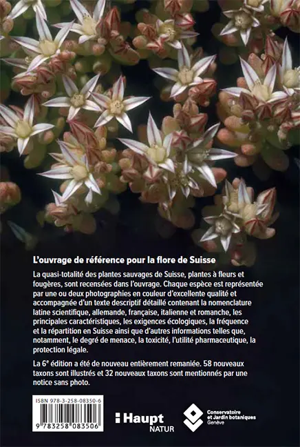 Beispielinhalt (Bild) Flora Helvetica - Flore illustrée de Suisse