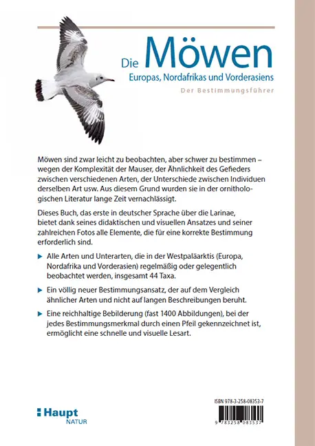 Beispielinhalt (Bild) Die Möwen Europas, Nordafrikas und Vorderasiens
