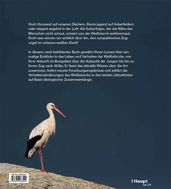 Beispielinhalt (Bild) Der Weißstorch