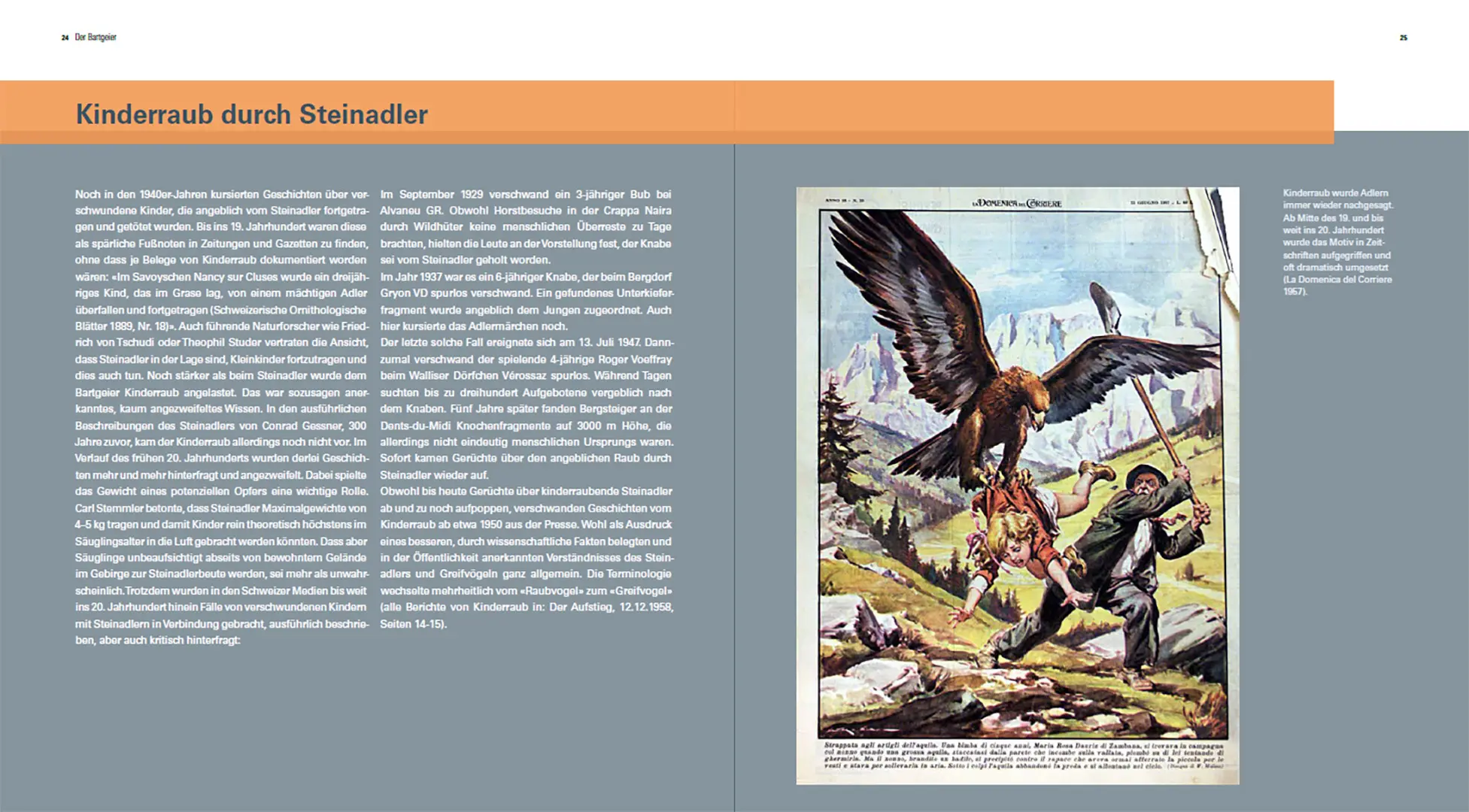 Beispielinhalt (Bild) Der Steinadler