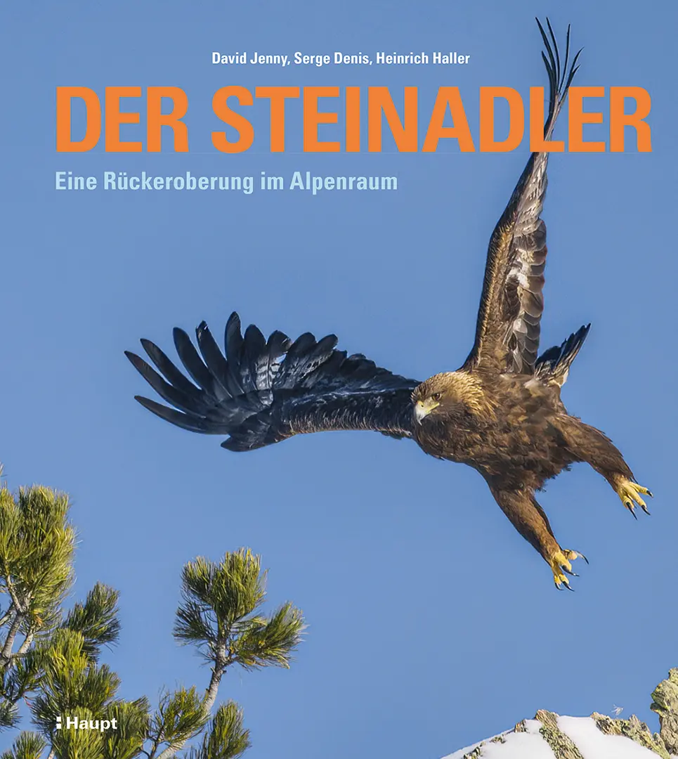 Vorderes Coverbild Der Steinadler