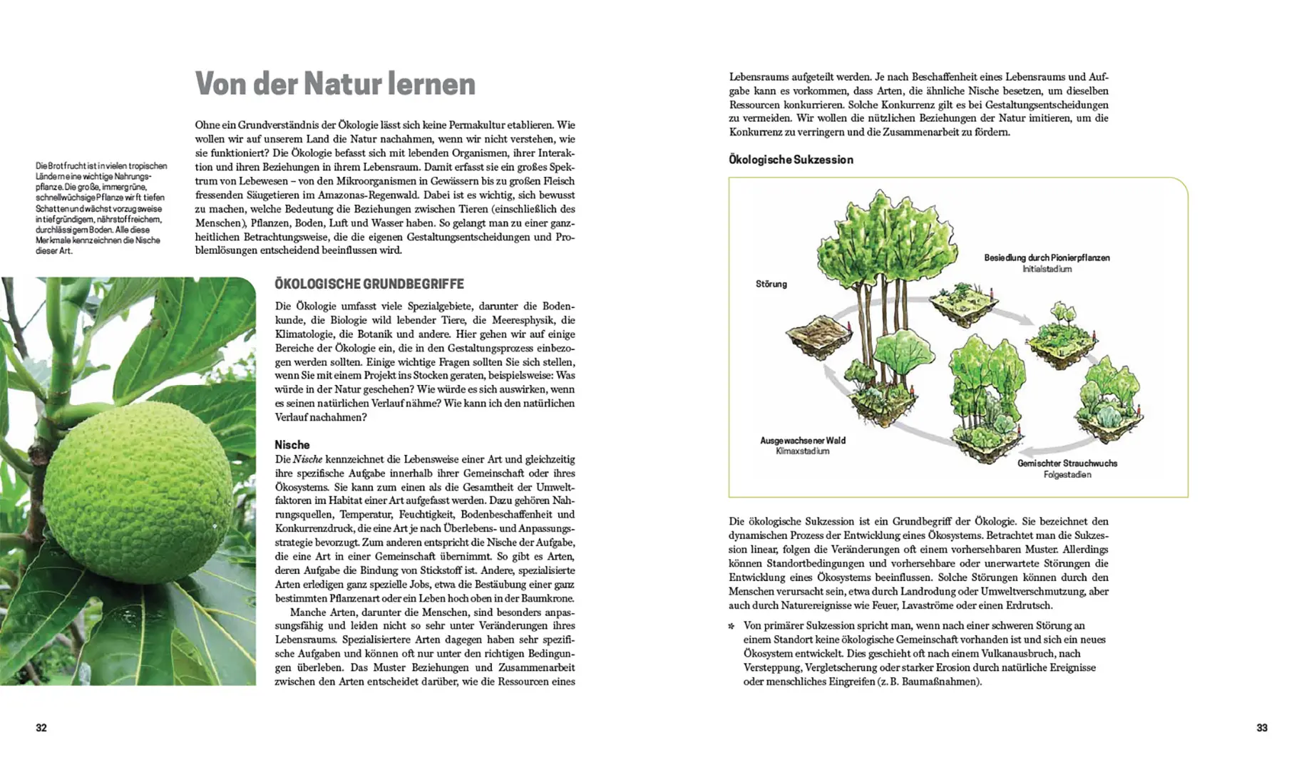 Beispielinhalt (Bild) Praxisbuch Permakultur