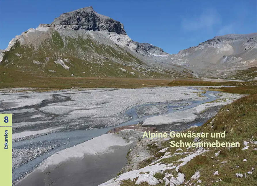 Beispielinhalt (Bild) Biodiversität zwischen Wasser und Land