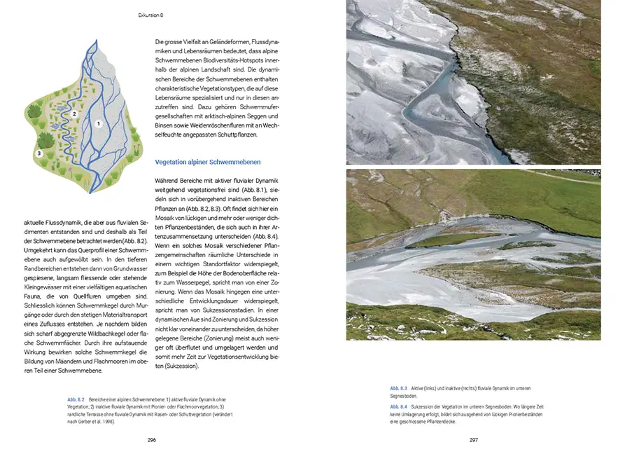 Beispielinhalt (Bild) Biodiversität zwischen Wasser und Land