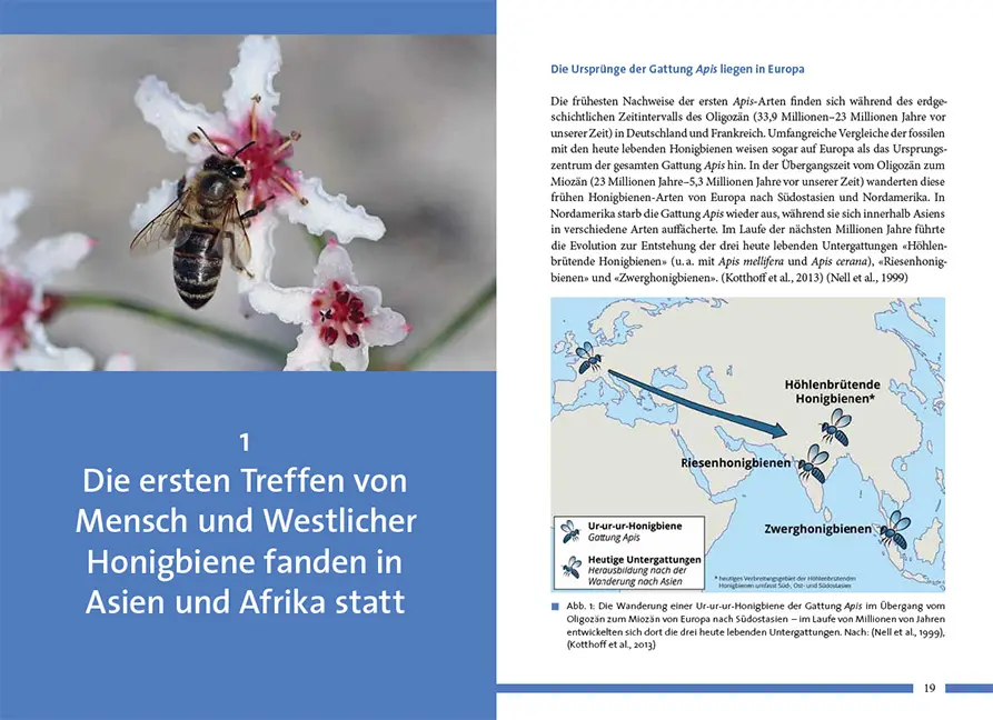 Beispielinhalt (Bild) Nachhaltig Imkern mit gesunden Honigbienen