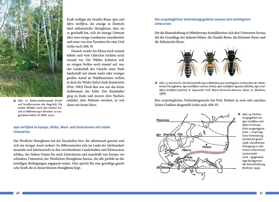 Beispielinhalt (Bild) Nachhaltig Imkern mit gesunden Honigbienen
