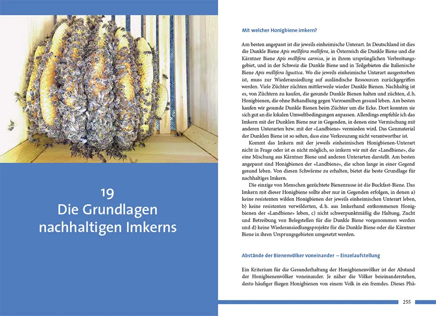 Beispielinhalt (Bild) Nachhaltig Imkern mit gesunden Honigbienen