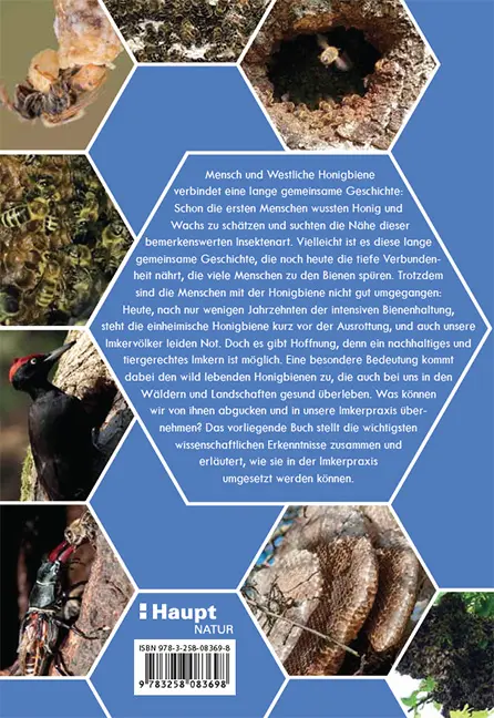 Rückseitencover Nachhaltig Imkern mit gesunden Honigbienen