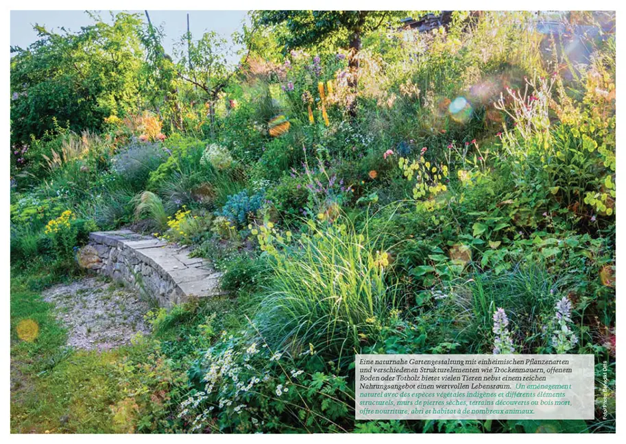 Beispielinhalt (Bild) Botanica 2024