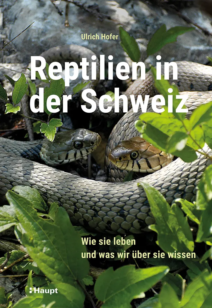 Vorderes Coverbild Reptilien in der Schweiz