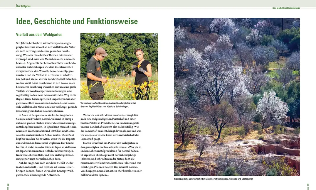 Beispielinhalt (Bild) Praxisbuch Waldgarten