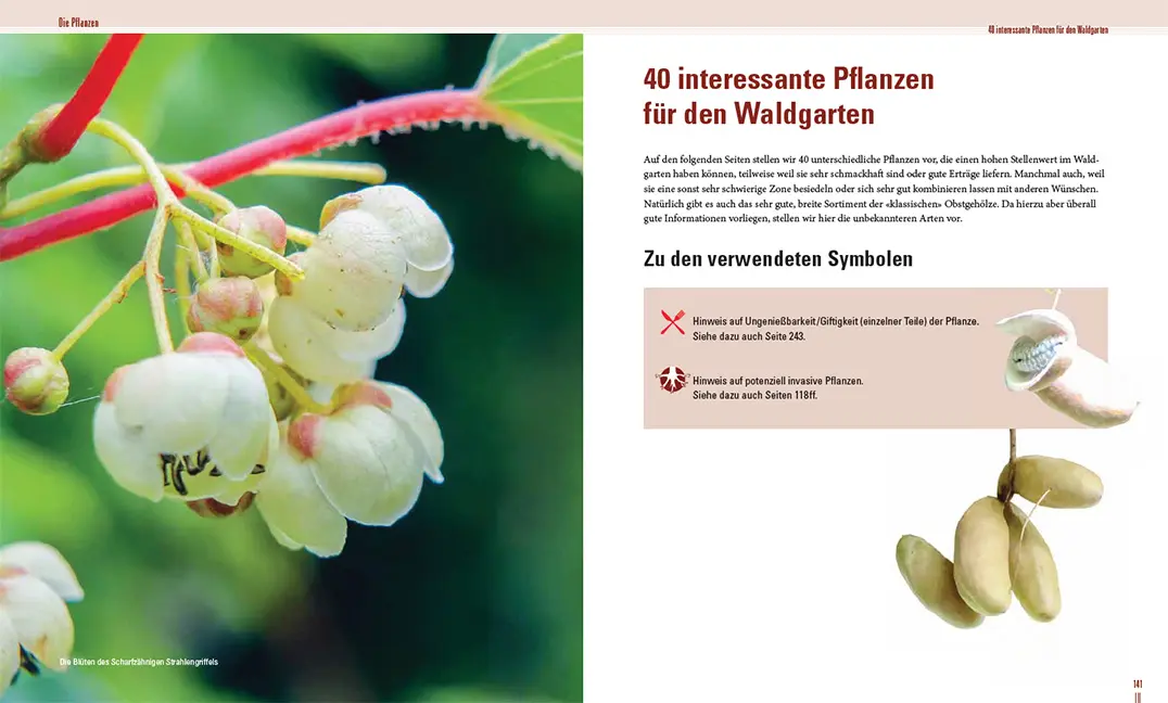 Beispielinhalt (Bild) Praxisbuch Waldgarten