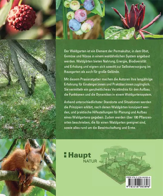 Beispielinhalt (Bild) Praxisbuch Waldgarten