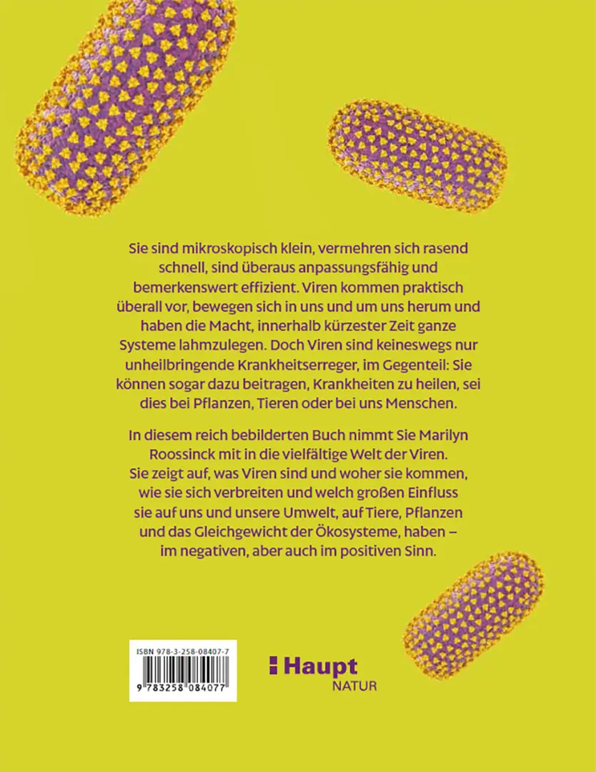 Beispielinhalt (Bild) Viren
