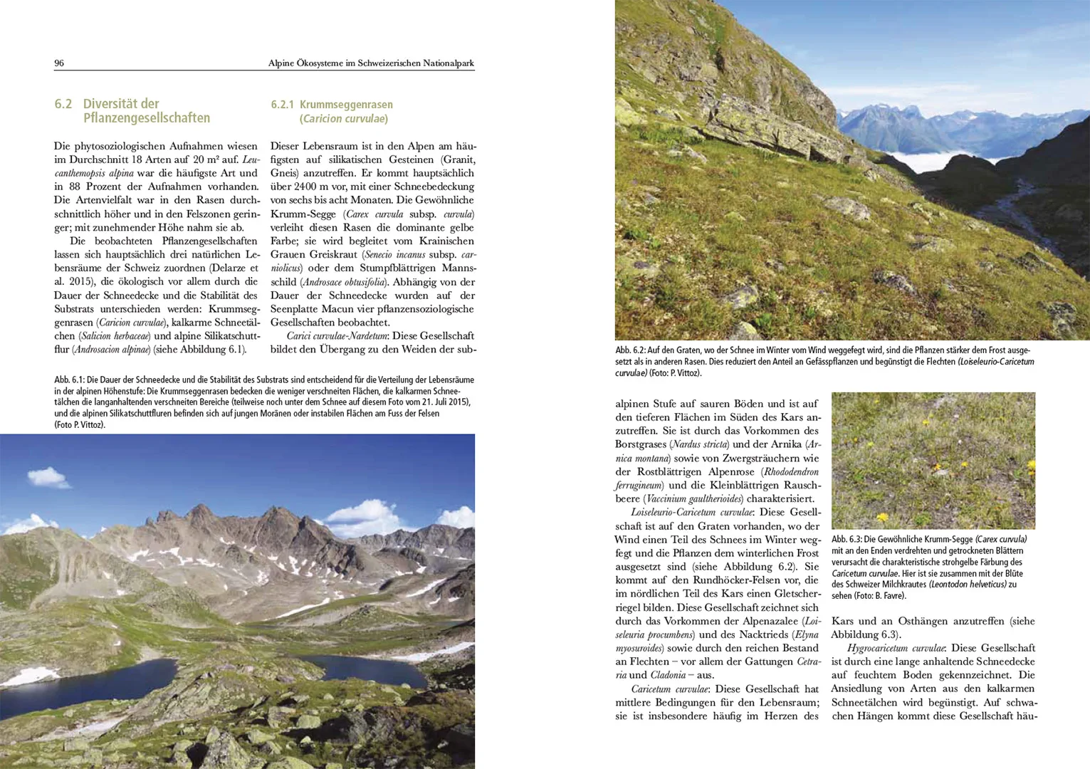 Beispielinhalt (Bild) Alpine Ökosysteme im Schweizerischen Nationalpark