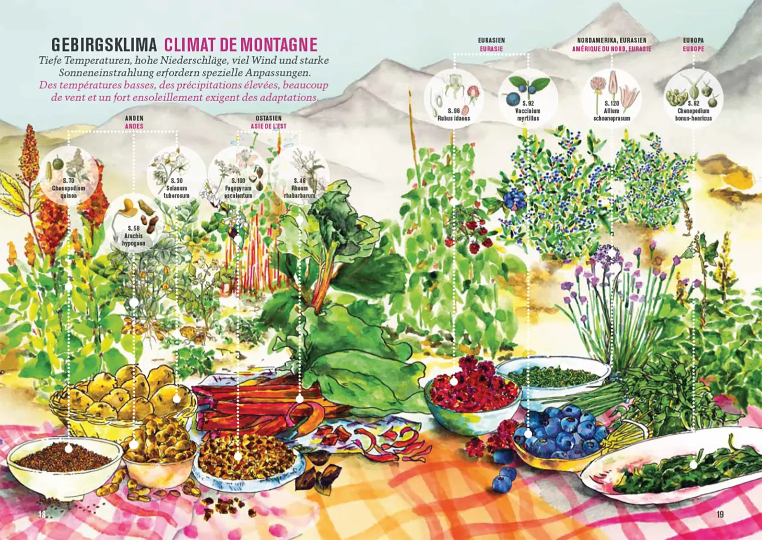 Beispielinhalt (Bild) Botanica 2025
