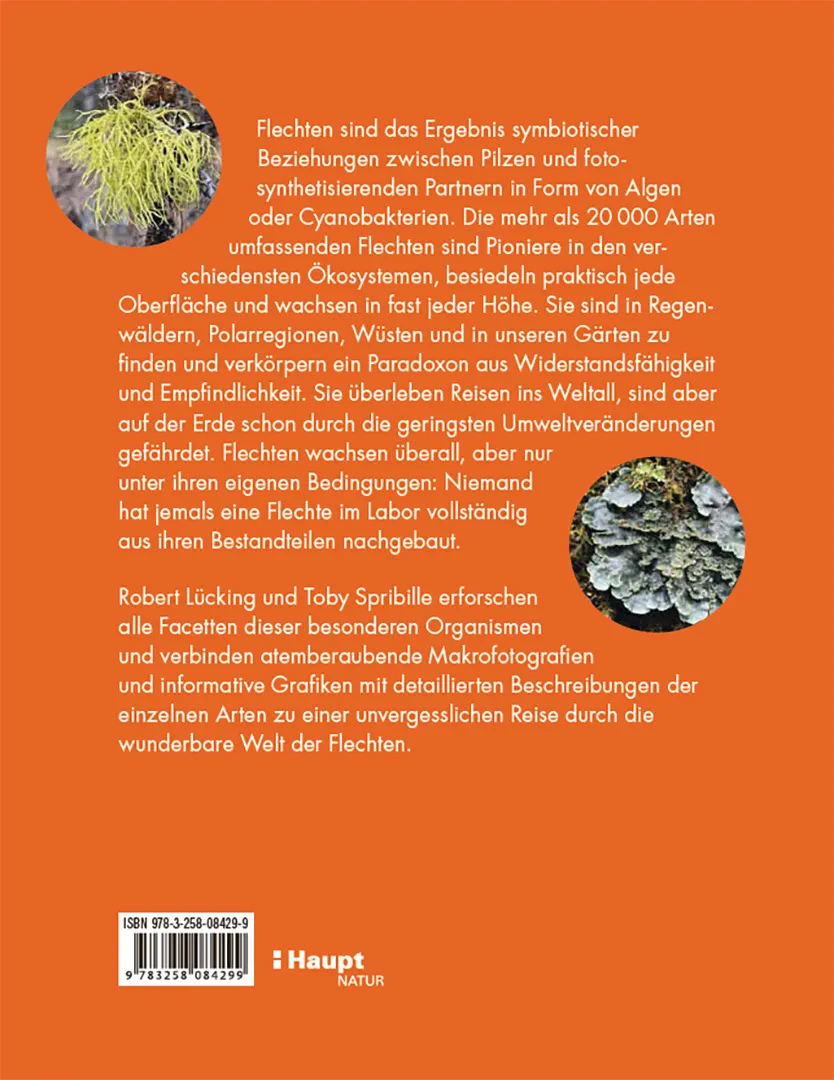 Rückseitencover Flechten