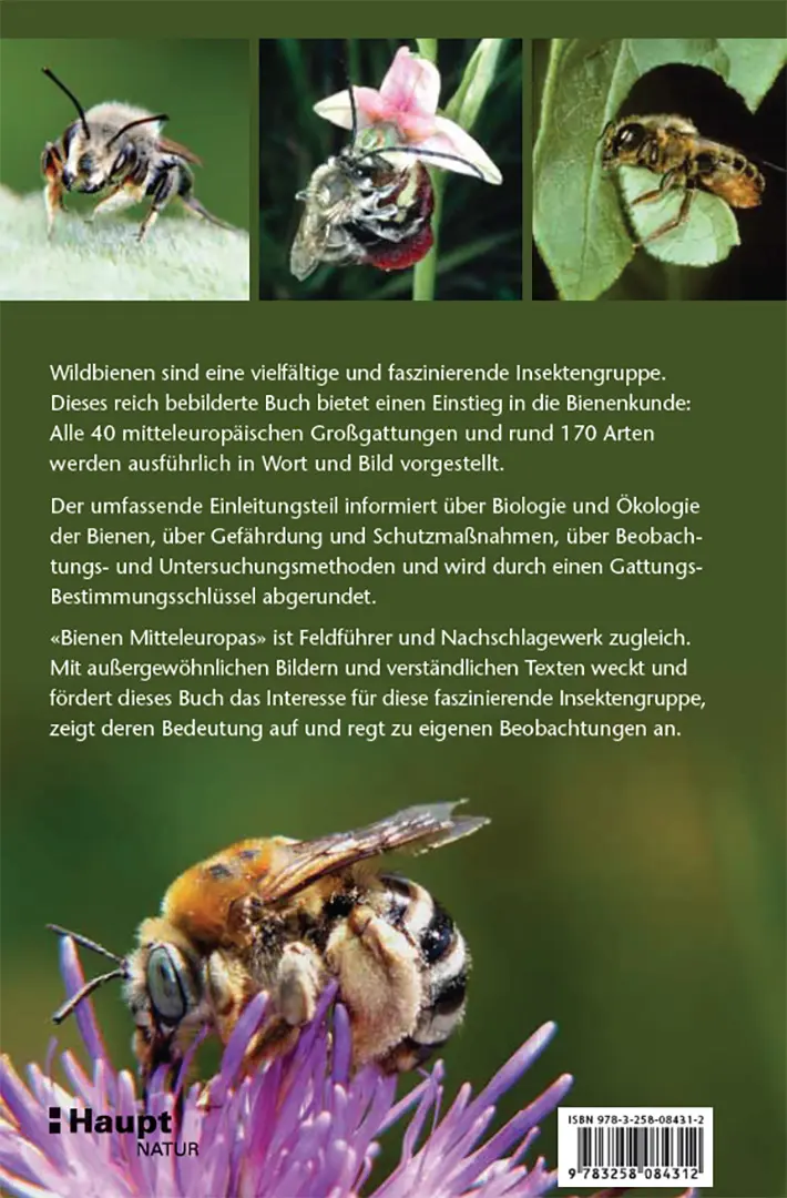 Rückseitencover Bienen Mitteleuropas