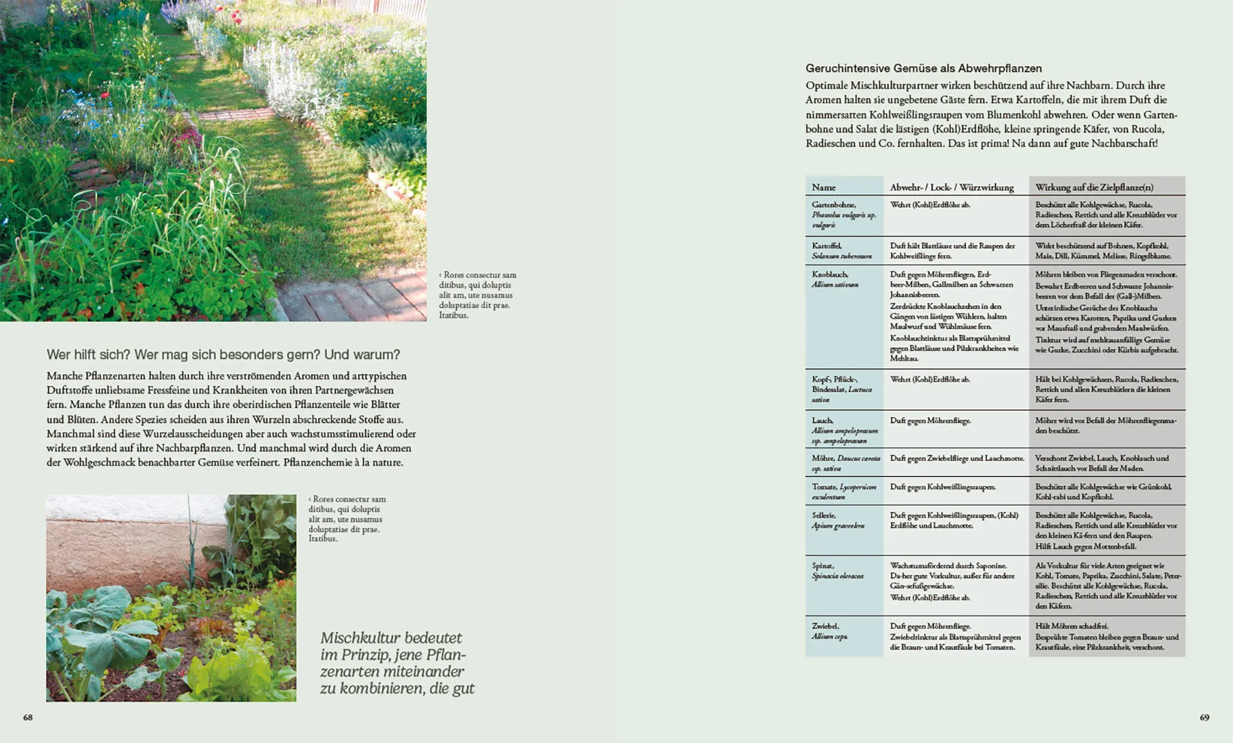 Beispielinhalt (Bild) Von Pflanzen, die sich mögen und Tieren, die uns helfen