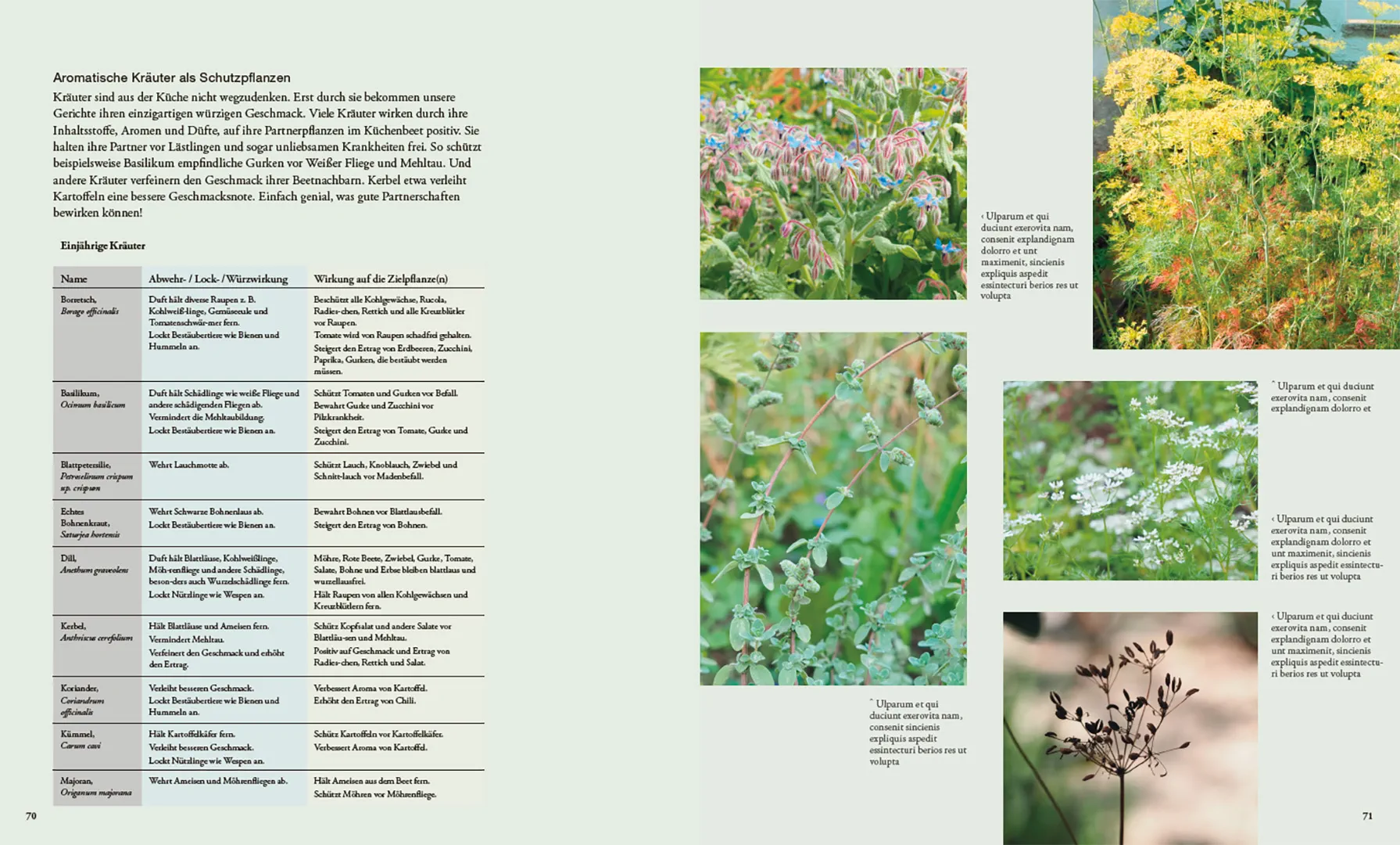 Beispielinhalt (Bild) Von Pflanzen, die sich mögen und Tieren, die uns helfen