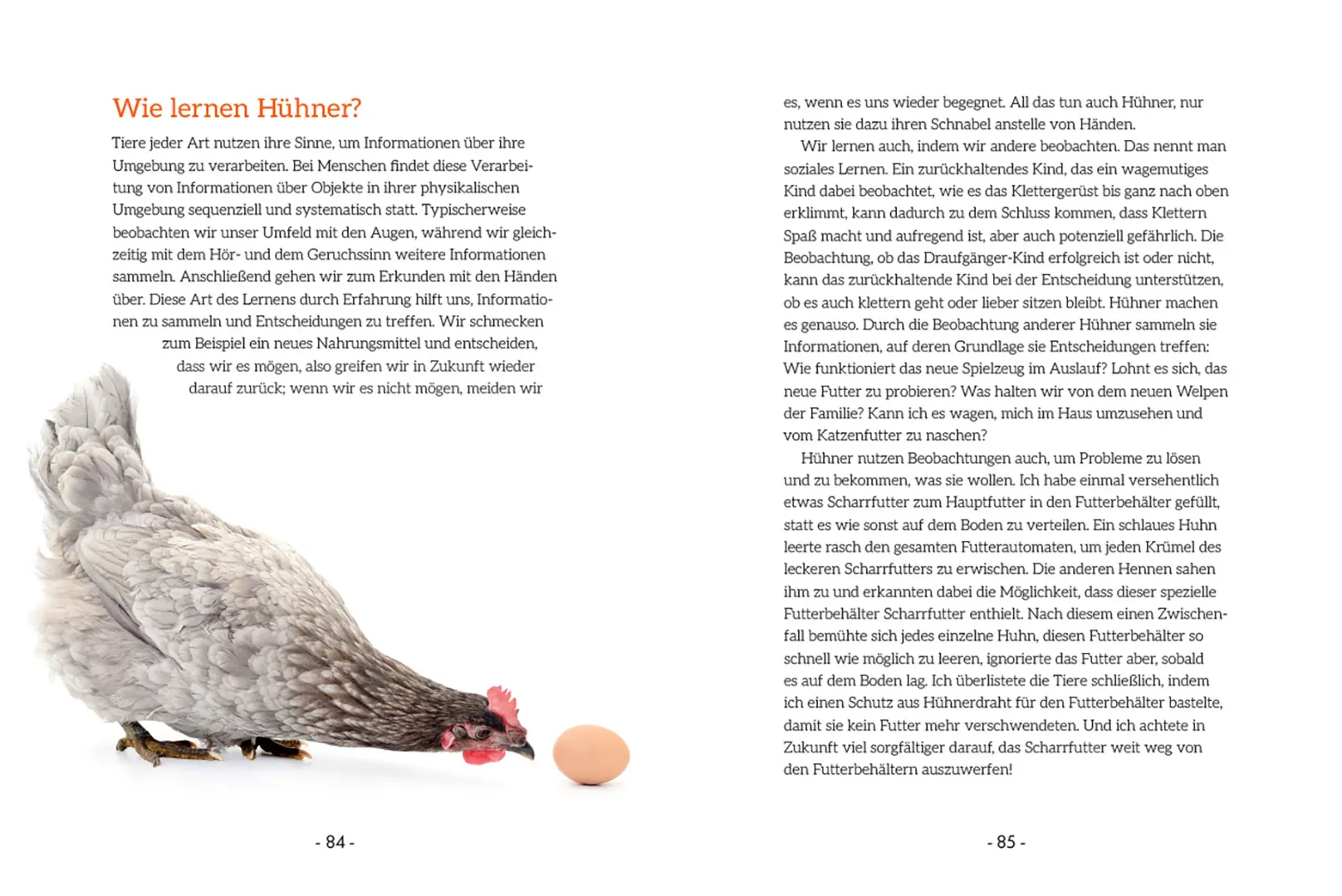 Beispielinhalt (Bild) How to Read a Chicken's Mind