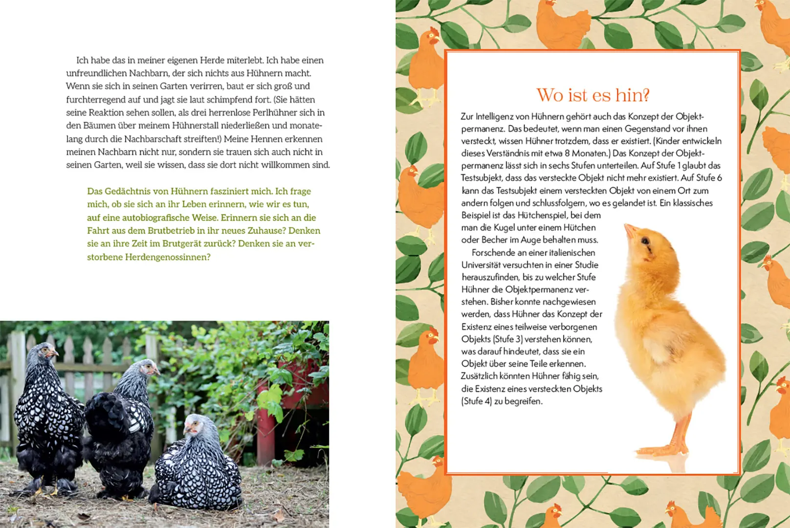 Beispielinhalt (Bild) How to Read a Chicken's Mind