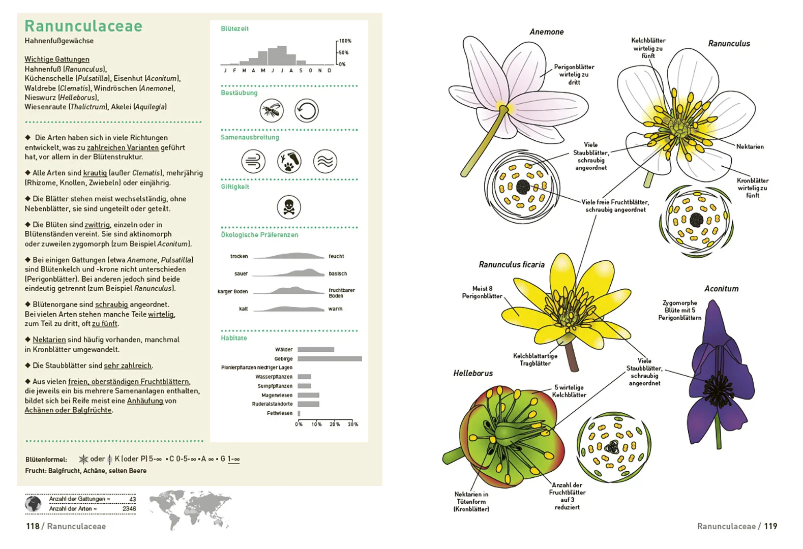 Beispielinhalt (Bild) Botanische Grundkenntnisse auf einen Blick