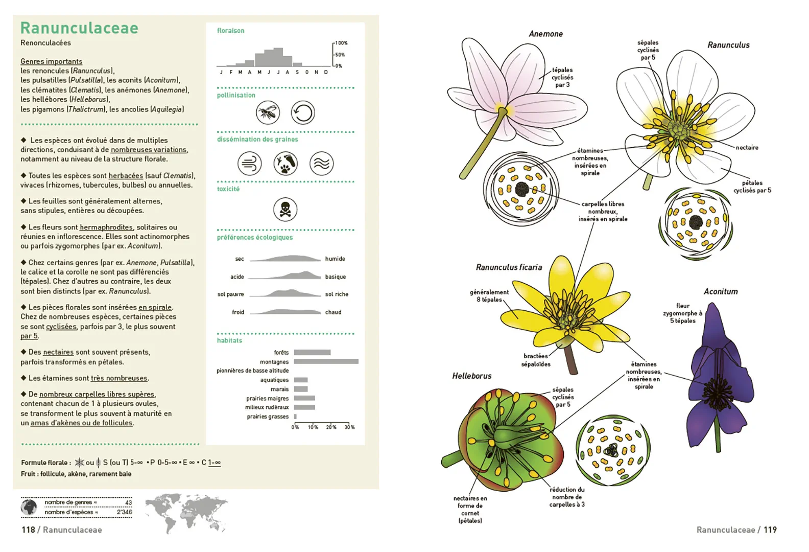 Beispielinhalt (Bild) Connaissances botaniques de base en un coup d'oeil