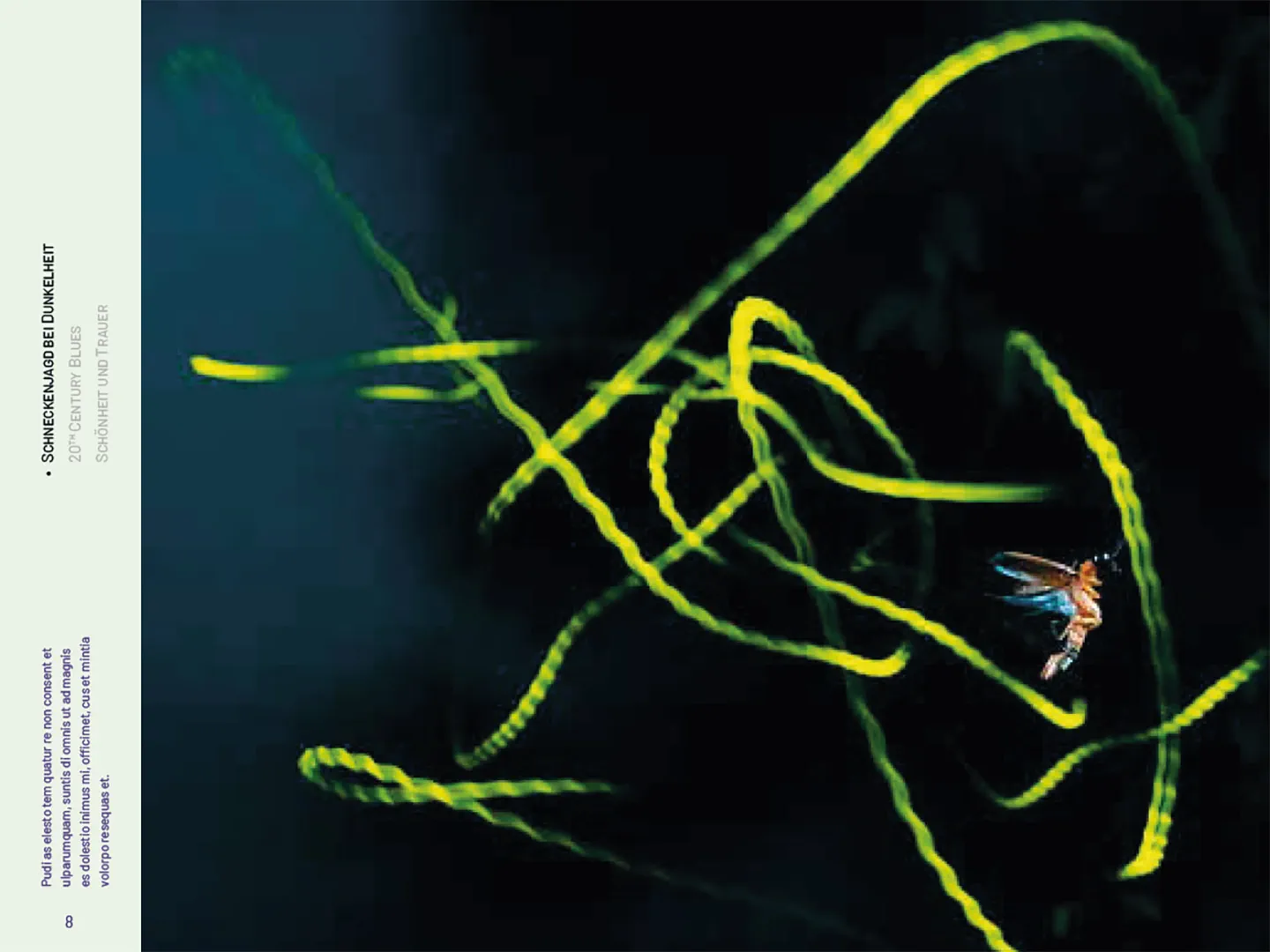 Beispielinhalt (Bild) Glühwürmchen