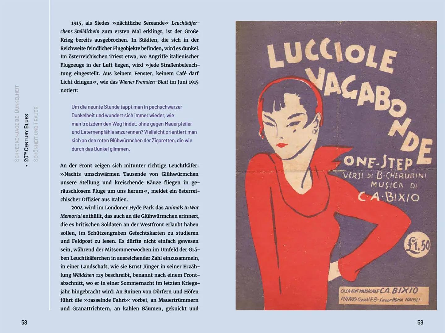 Beispielinhalt (Bild) Glühwürmchen