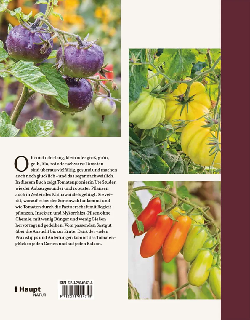 Rückseitencover Tomatenglück
