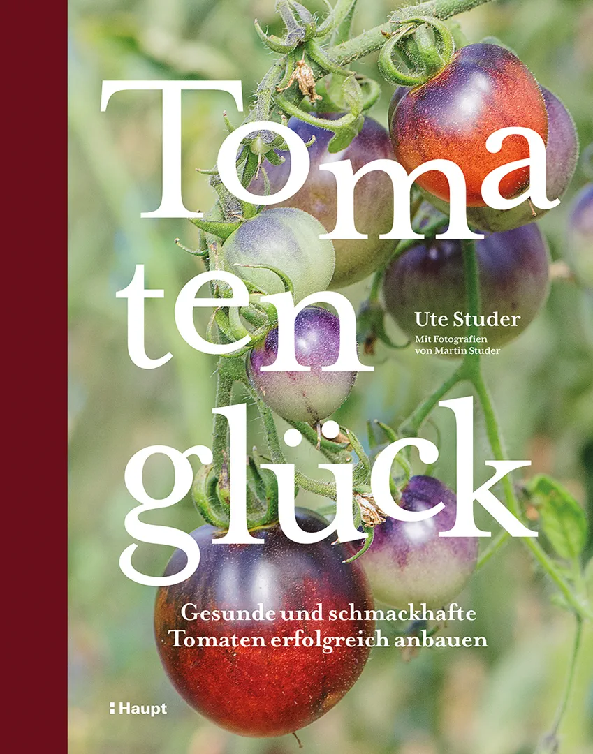 Vorderes Coverbild Tomatenglück