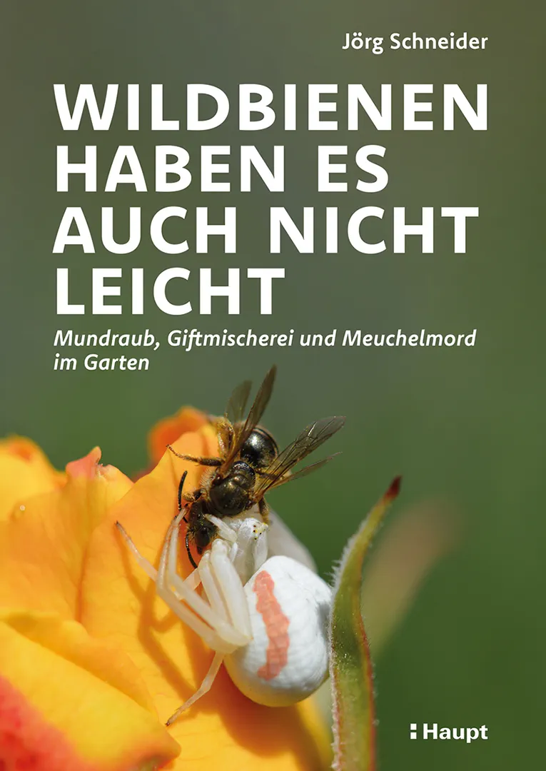 Vorderes Coverbild Wildbienen haben es auch nicht leicht