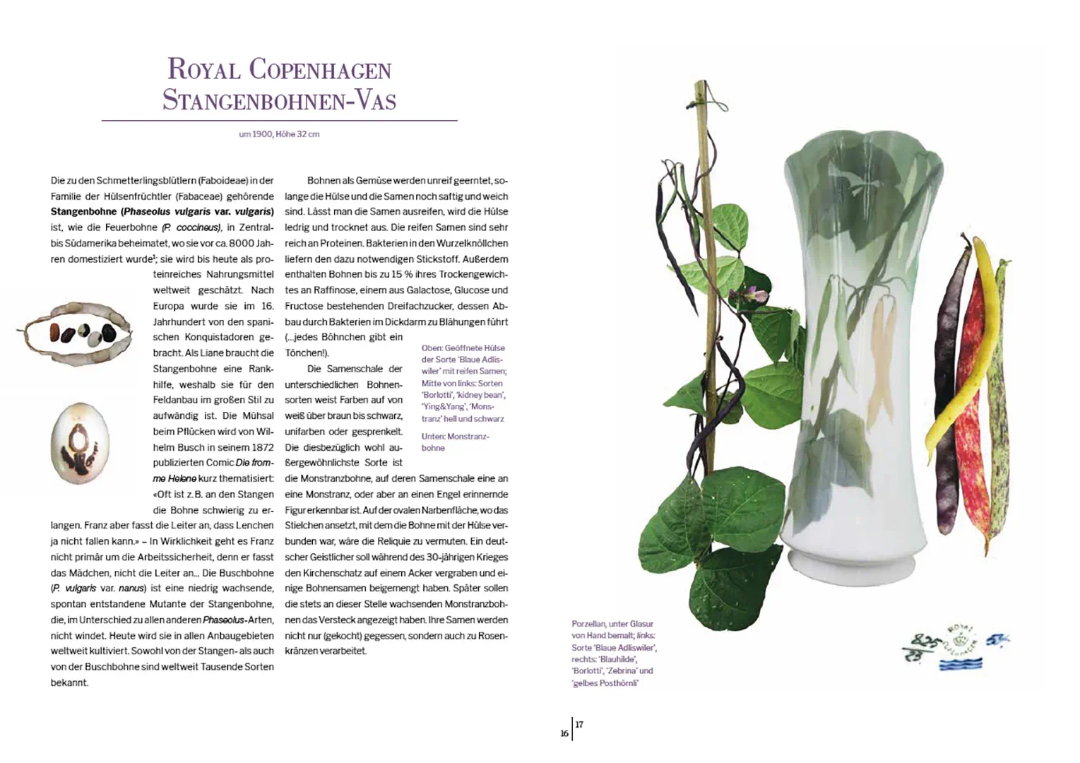 Beispielinhalt (Bild) Das Herbarium floraler Dekore