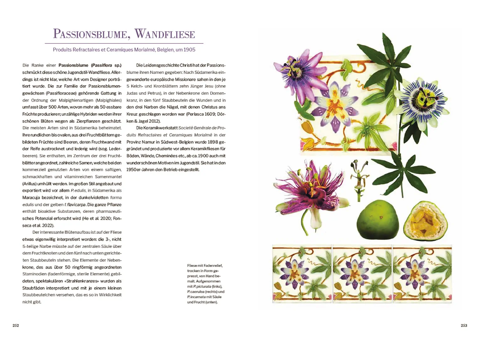 Beispielinhalt (Bild) Das Herbarium floraler Dekore