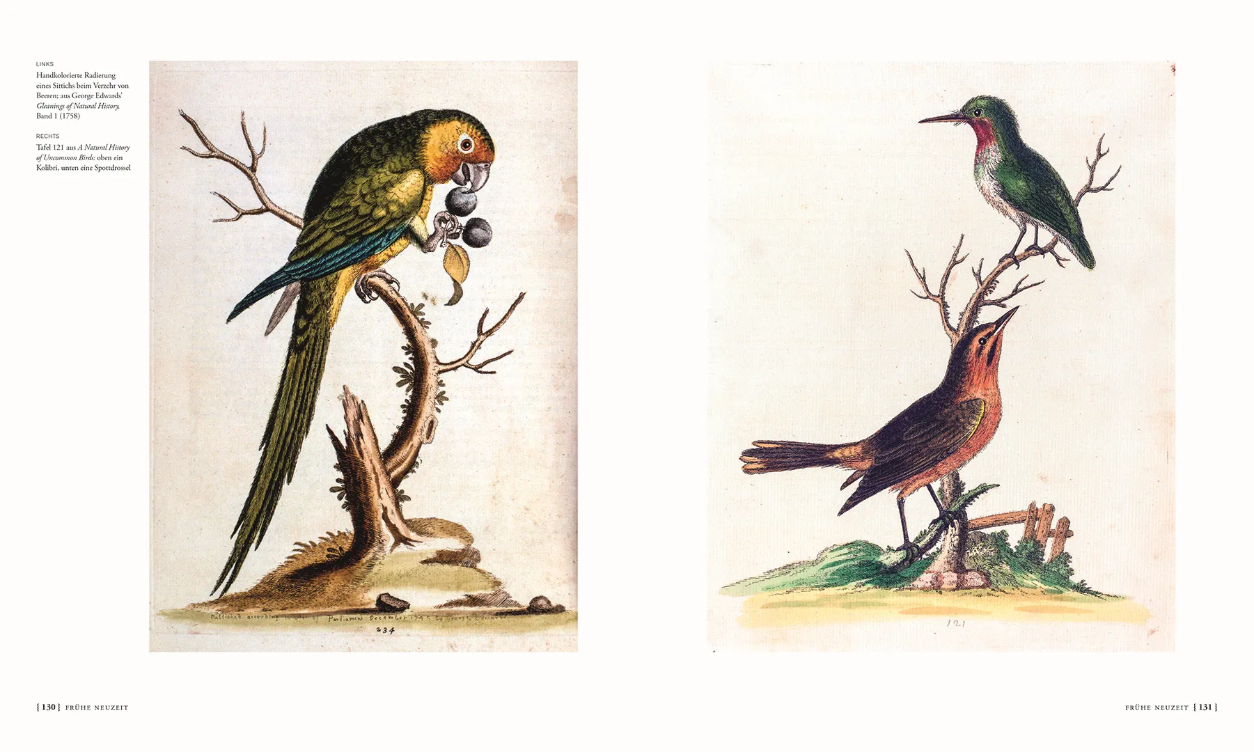 Beispielinhalt (Bild) Die Geschichte der Ornithologie