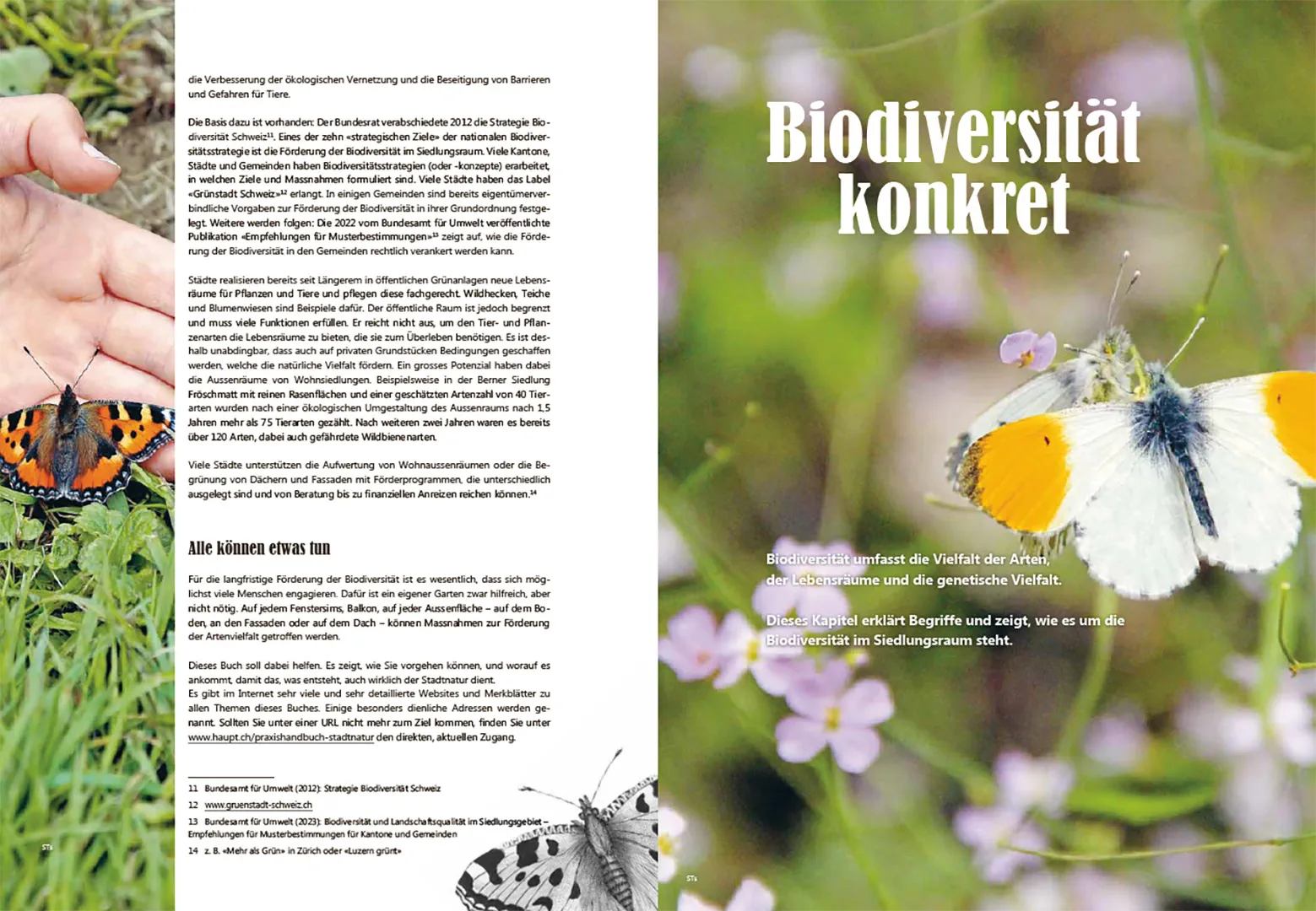 Beispielinhalt (Bild) Praxishandbuch Stadtnatur
