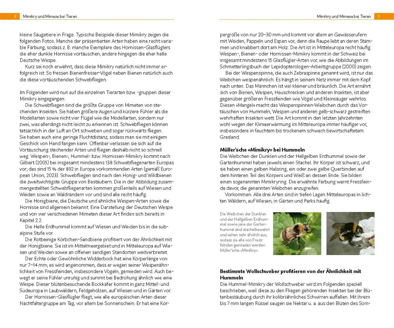 Beispielinhalt (Bild) Mimikry – tricksen und täuschen in der Natur