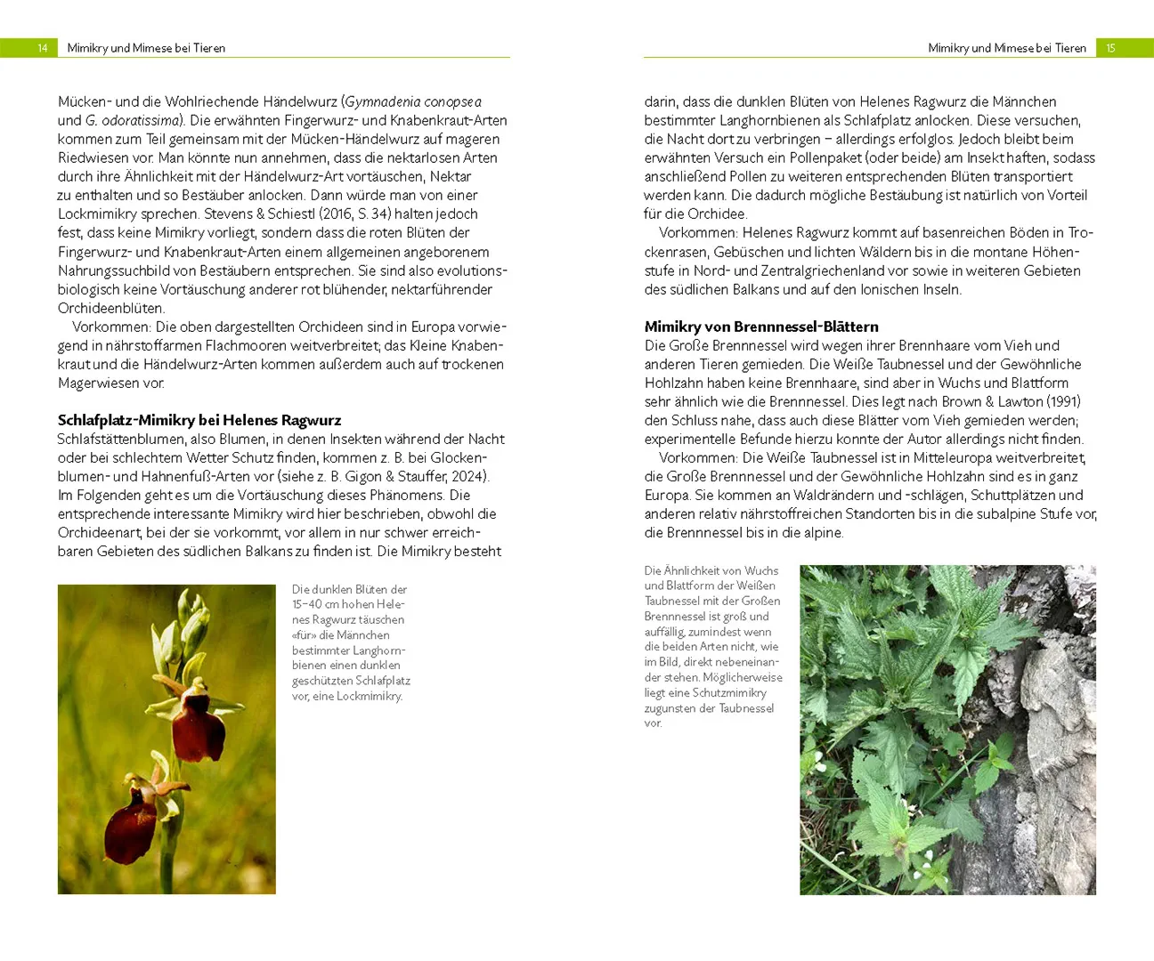 Beispielinhalt (Bild) Mimikry – tricksen und täuschen in der Natur