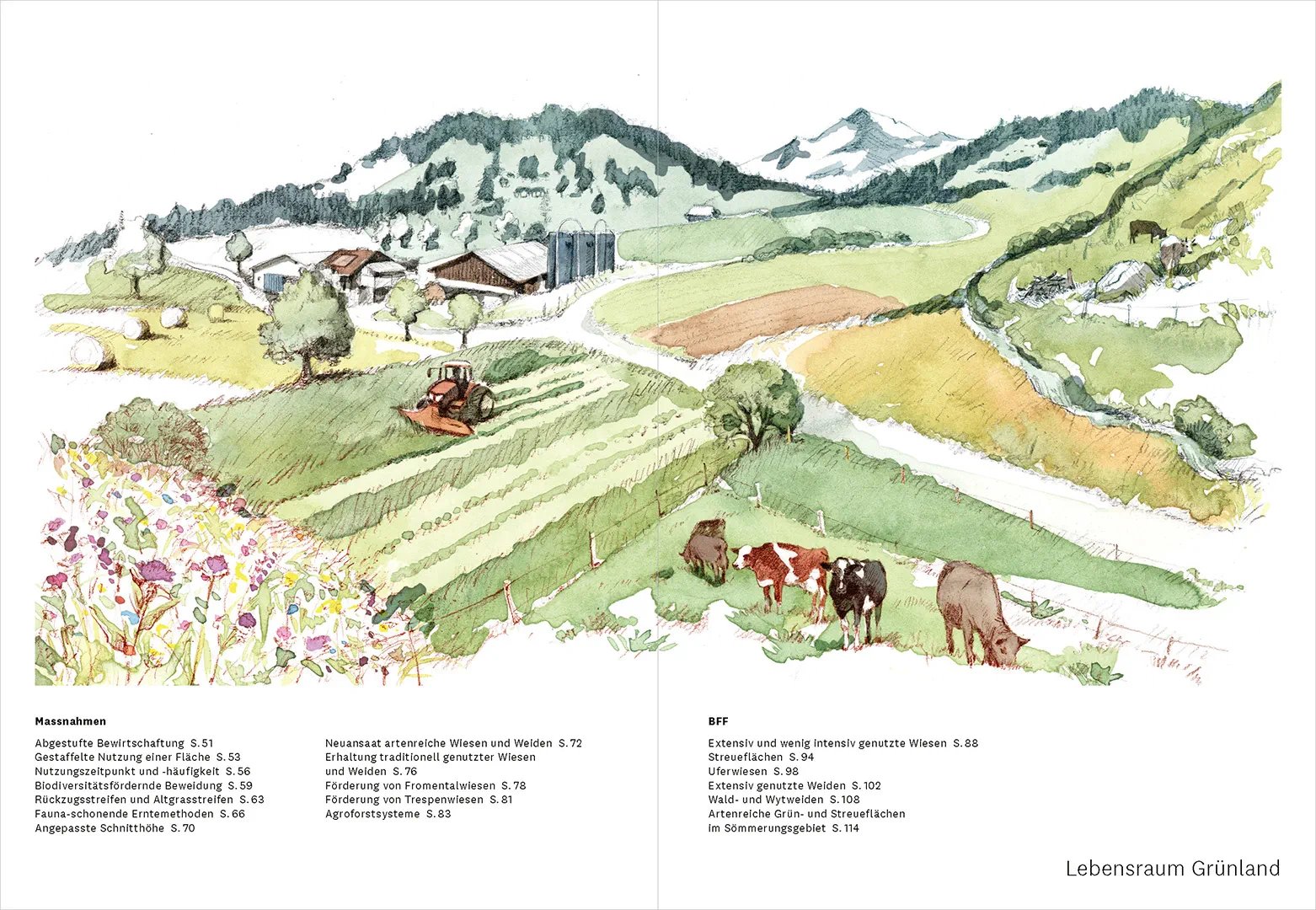 Beispielinhalt (Bild) Praxishandbuch Biodiversität in der Landwirtschaft