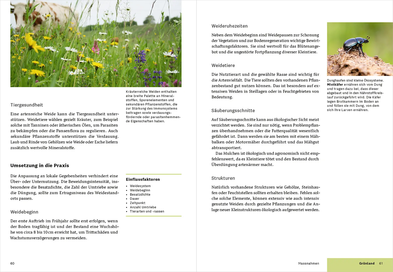 Beispielinhalt (Bild) Praxishandbuch Biodiversität in der Landwirtschaft