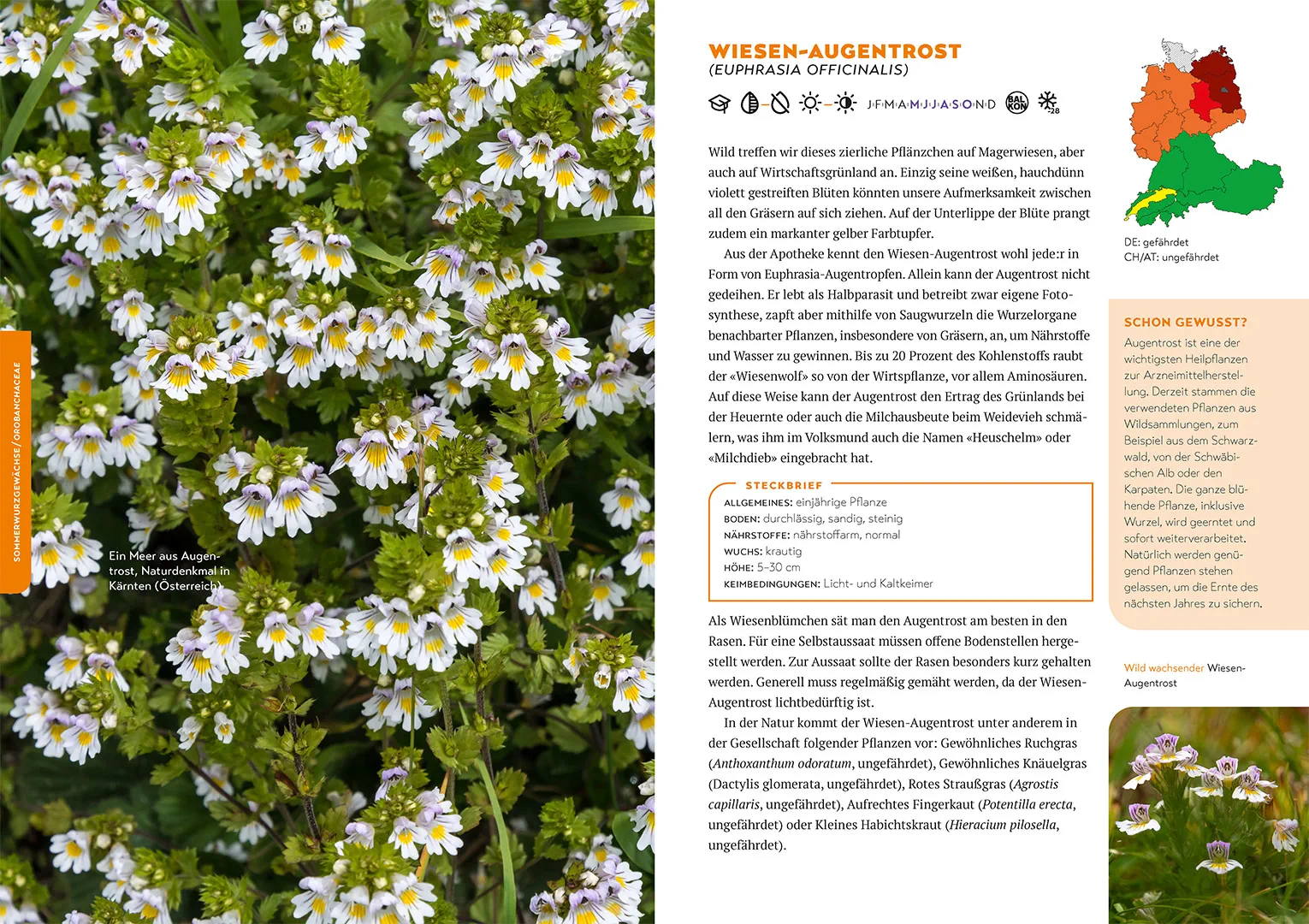 Beispielinhalt (Bild) Mein Garten als Arche