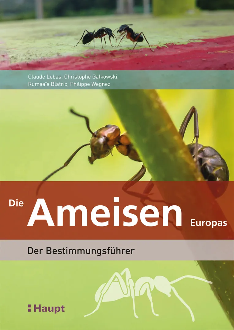 Vorderes Coverbild Die Ameisen Europas