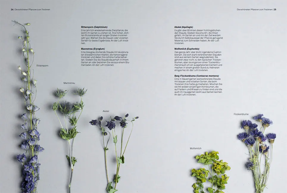 Beispielinhalt (Bild) Trockenblumen – vom Samen bis zum Arrangement