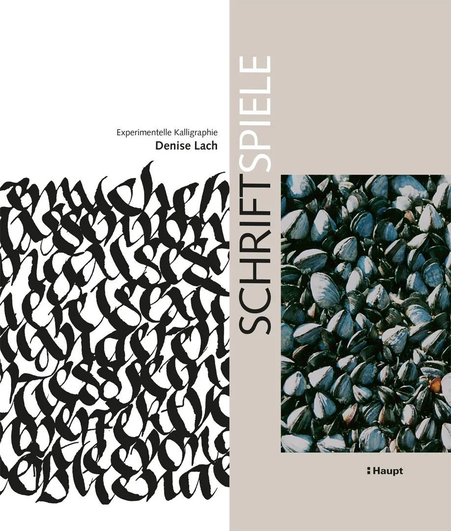 Vorderes Coverbild Schriftspiele