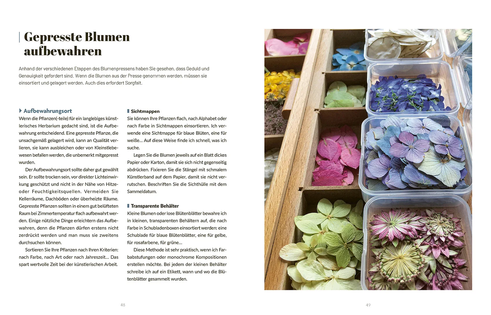 Beispielinhalt (Bild) Kunst aus Blatt und Blüte