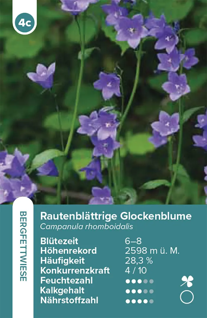 Beispielinhalt (Bild) Lebensräume Wiesen und Weiden – das Quartett-Spiel