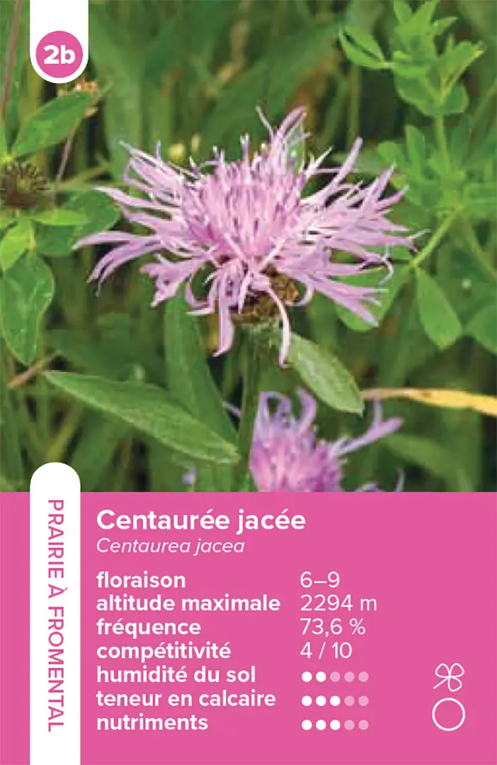 Beispielinhalt (Bild) Habitats pelouses et prairies – le jeu du quatuor