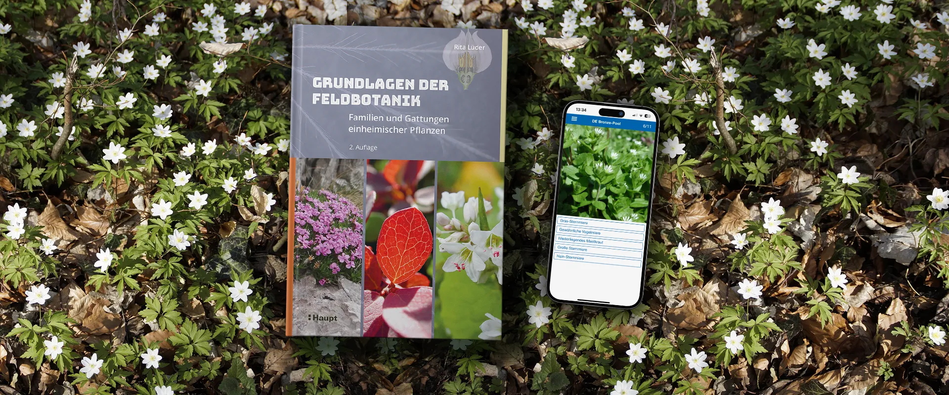 Buch und App liegen auf Waldboden